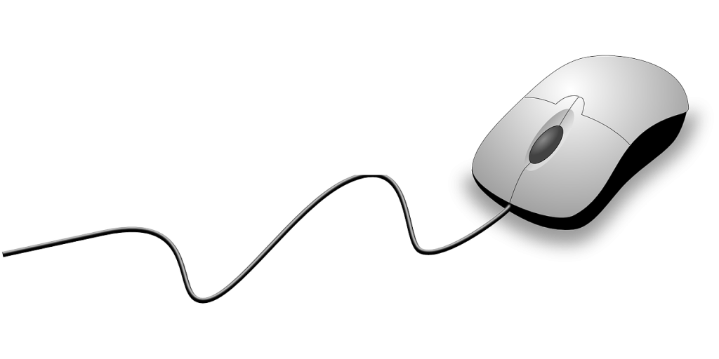 computer mouse