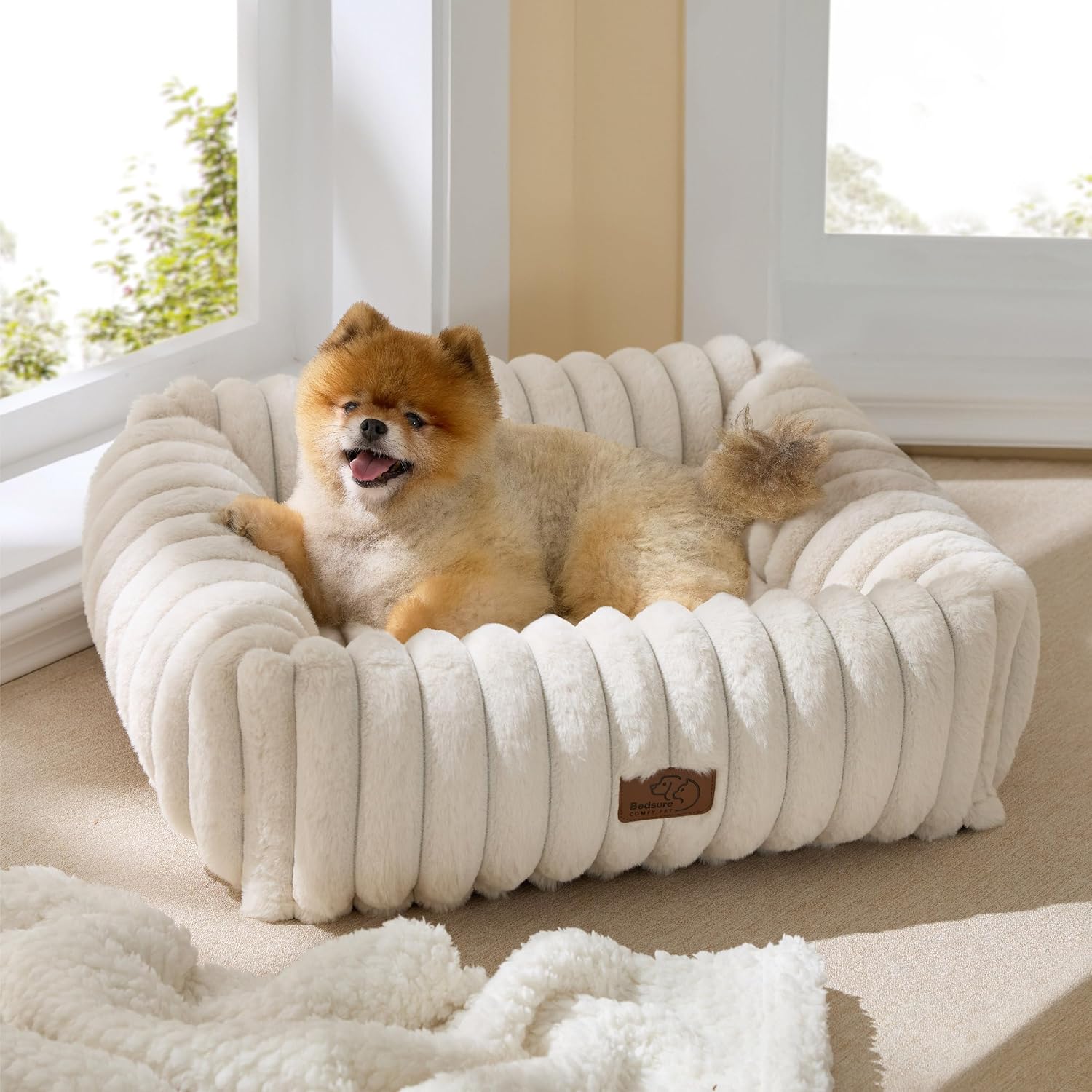 dog in white bed