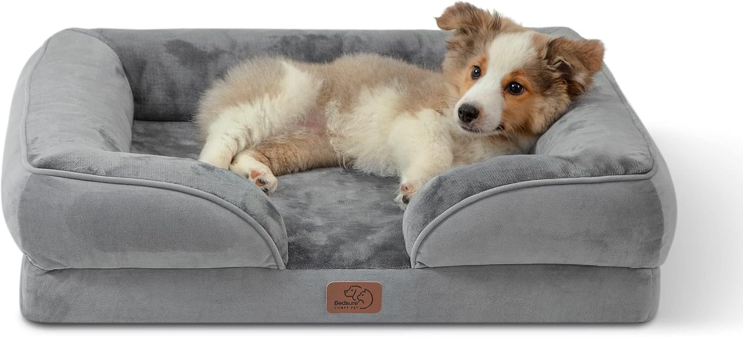 dog in gray dog bed