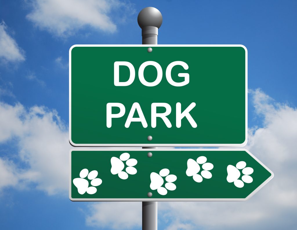 dog park cartoon