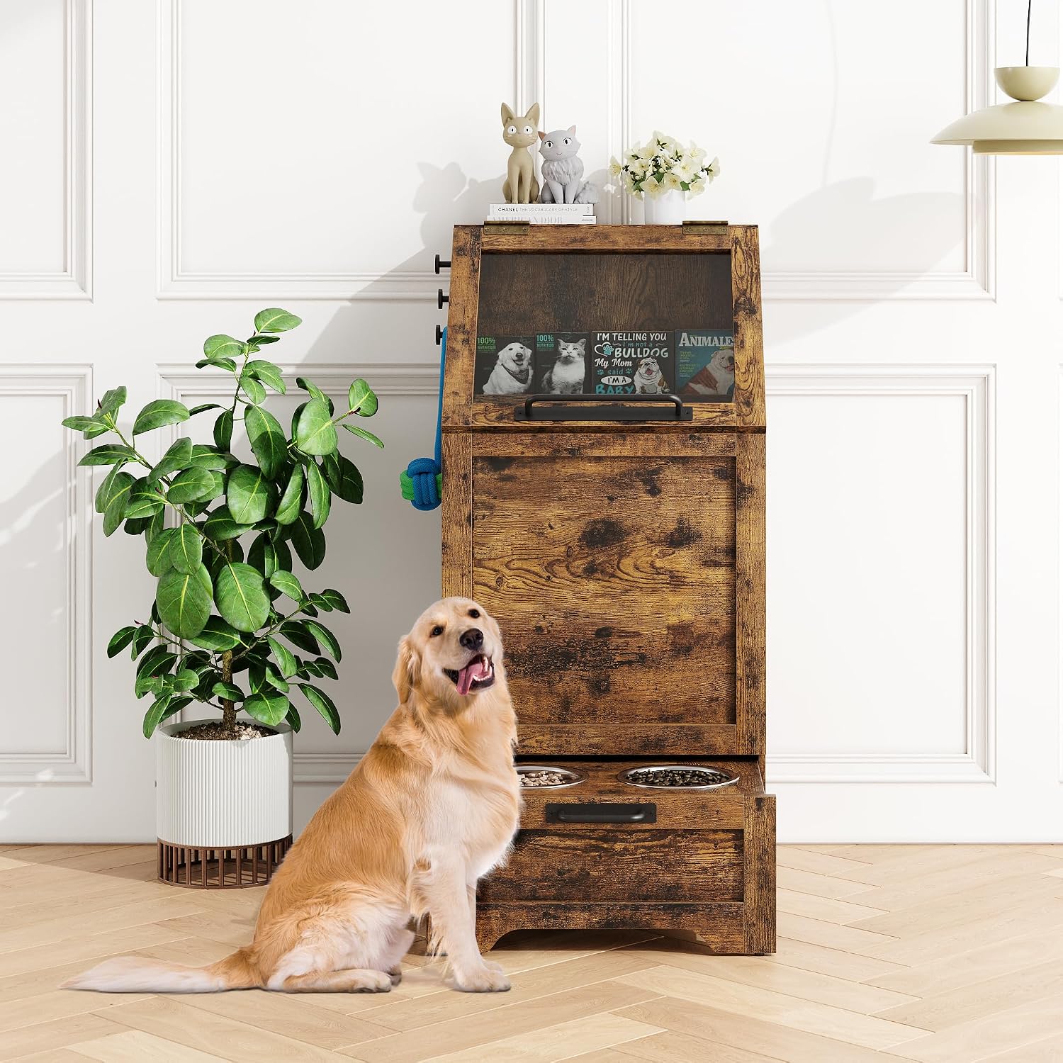 dog in front of feeding station