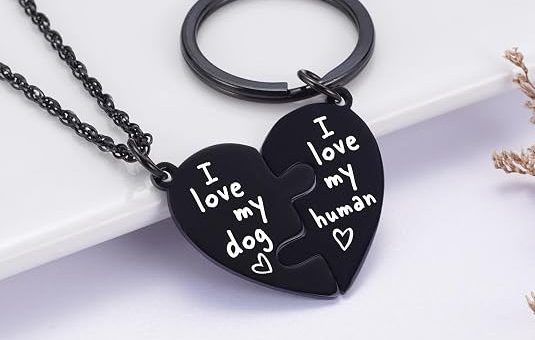 BFF Necklace and Collar Charm Set