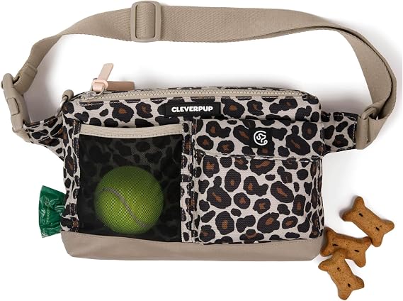 leopard crossbody bag