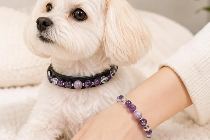 Add Some Bling to Your Outfits With Our Matching Dog Collar and Bracelet Set