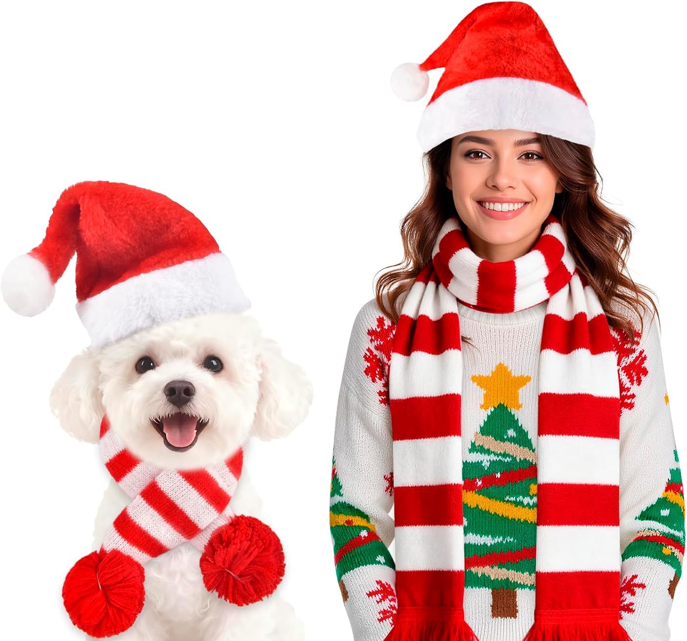 dog and owner wearing matching christmas hat and scarf