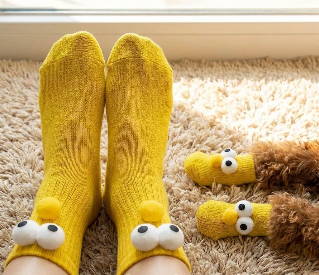 matching dog and owner socks