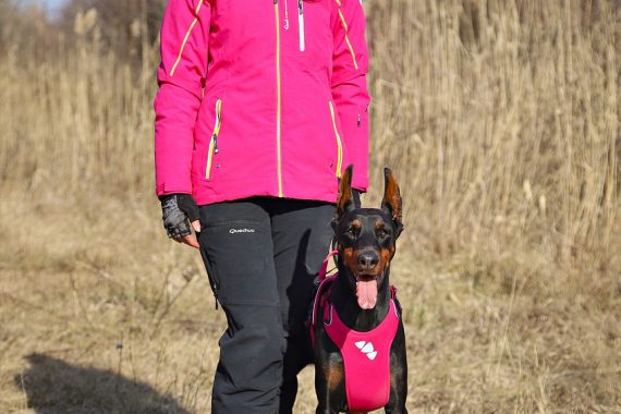 Dog Trails, Dog Runs, Dog and Owner Meetups