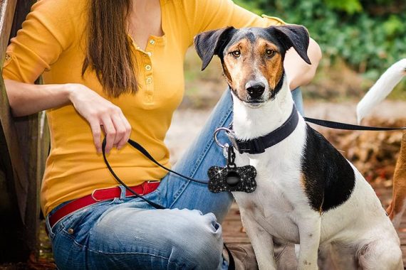 Glittering Rhinestones Adorn This Simple Dog Walking Staple. Choose From 6 Colors