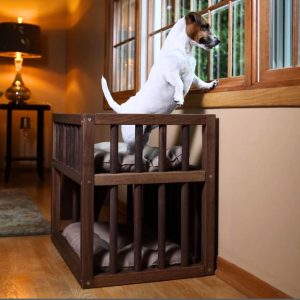 dog standing in bunk bed looking out window