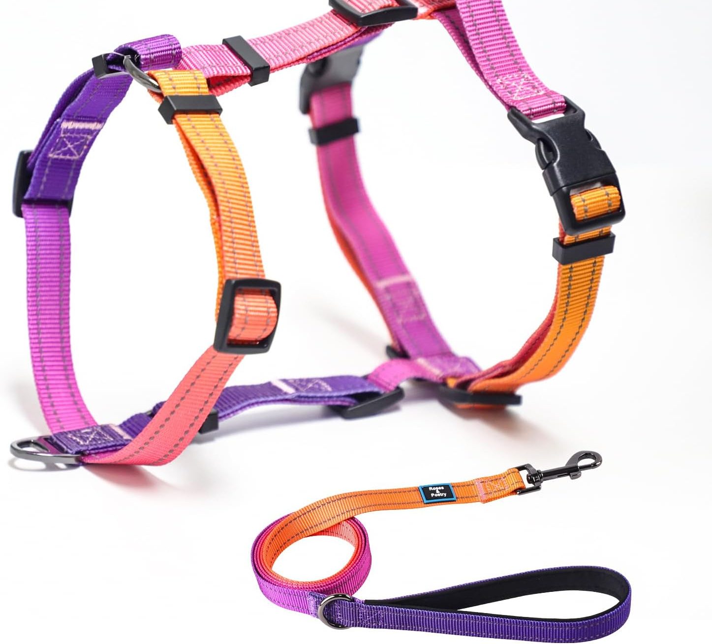 colorful harness and leash set