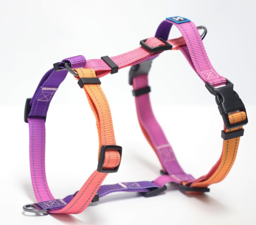 colorful dog harness