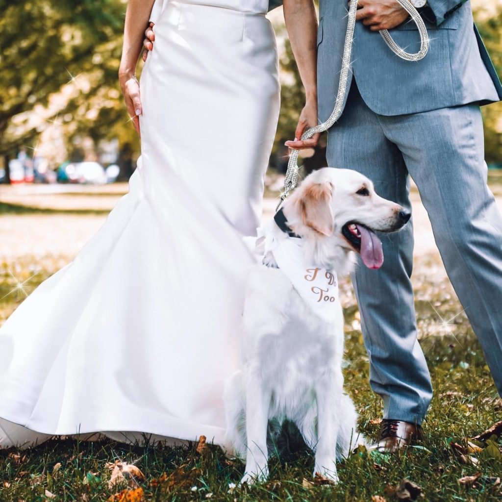 diamond rhinestone leash