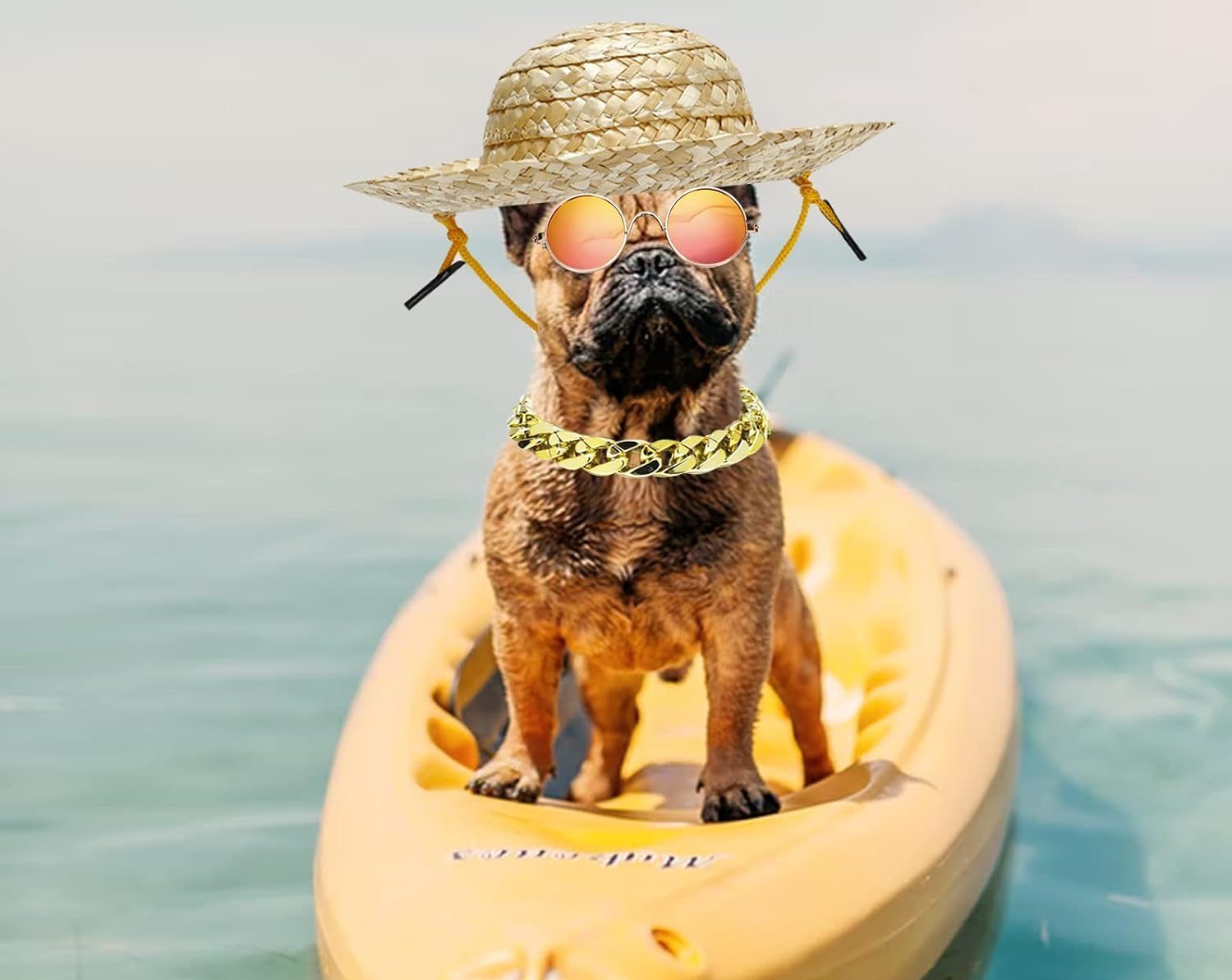 dog in water wearing glasses and hat