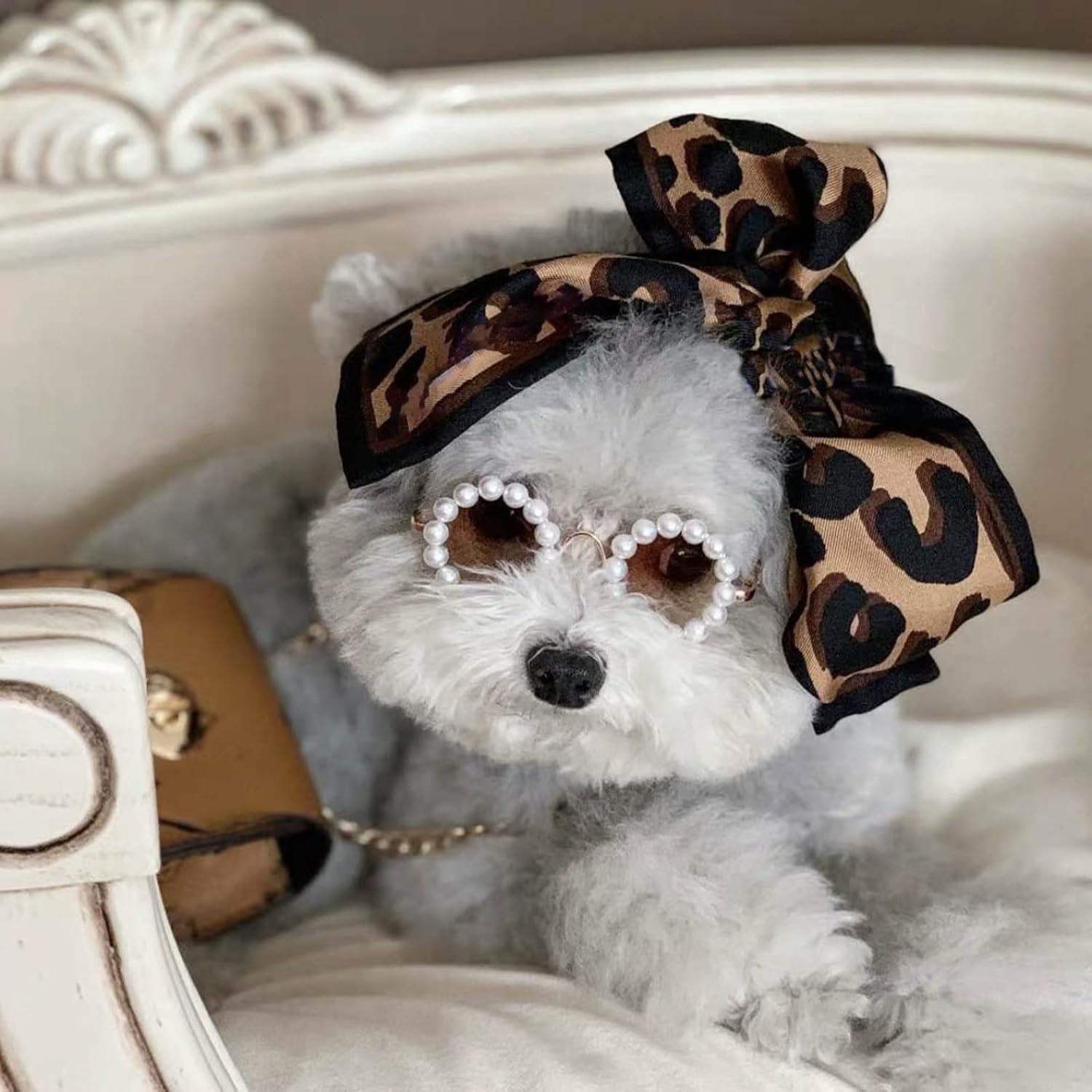 dog wearing sunglasses with pearls