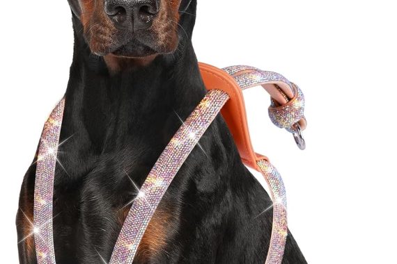 This No Pull Dog Harness With Bling is Available in 4 Glittering Colors