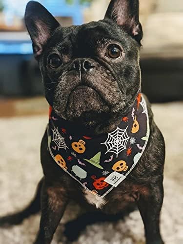 dog wearing halloween bandana