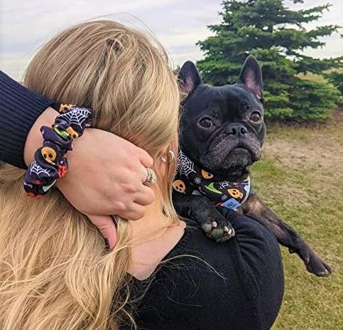 Matching Halloween Bandana and Scrunchie for Dog and Owner