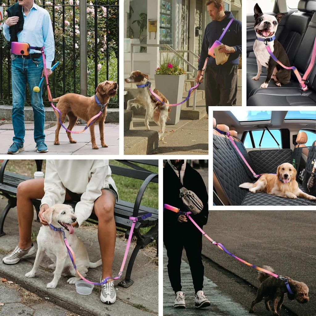 people with dogs wearing hands-free leash