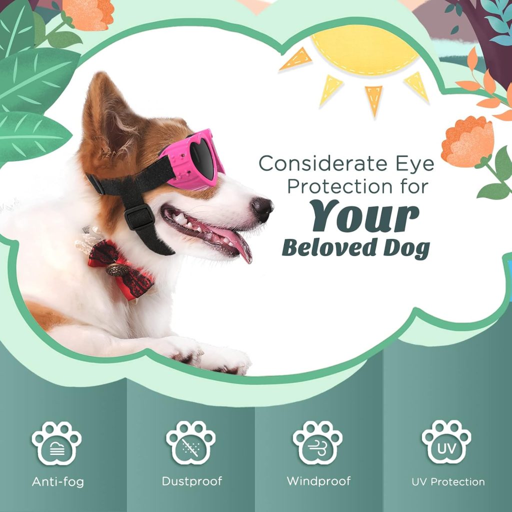 heart-shaped sunnies on dog