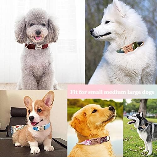 dogs wearing collars