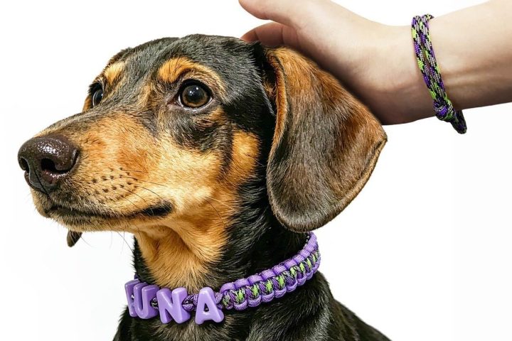 Friendship Dog Necklace and Matching Bracelet for Owner