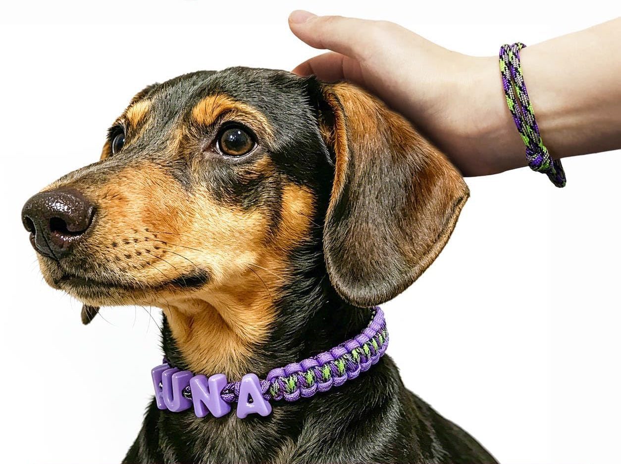 dog and owner wearing matching jewelry