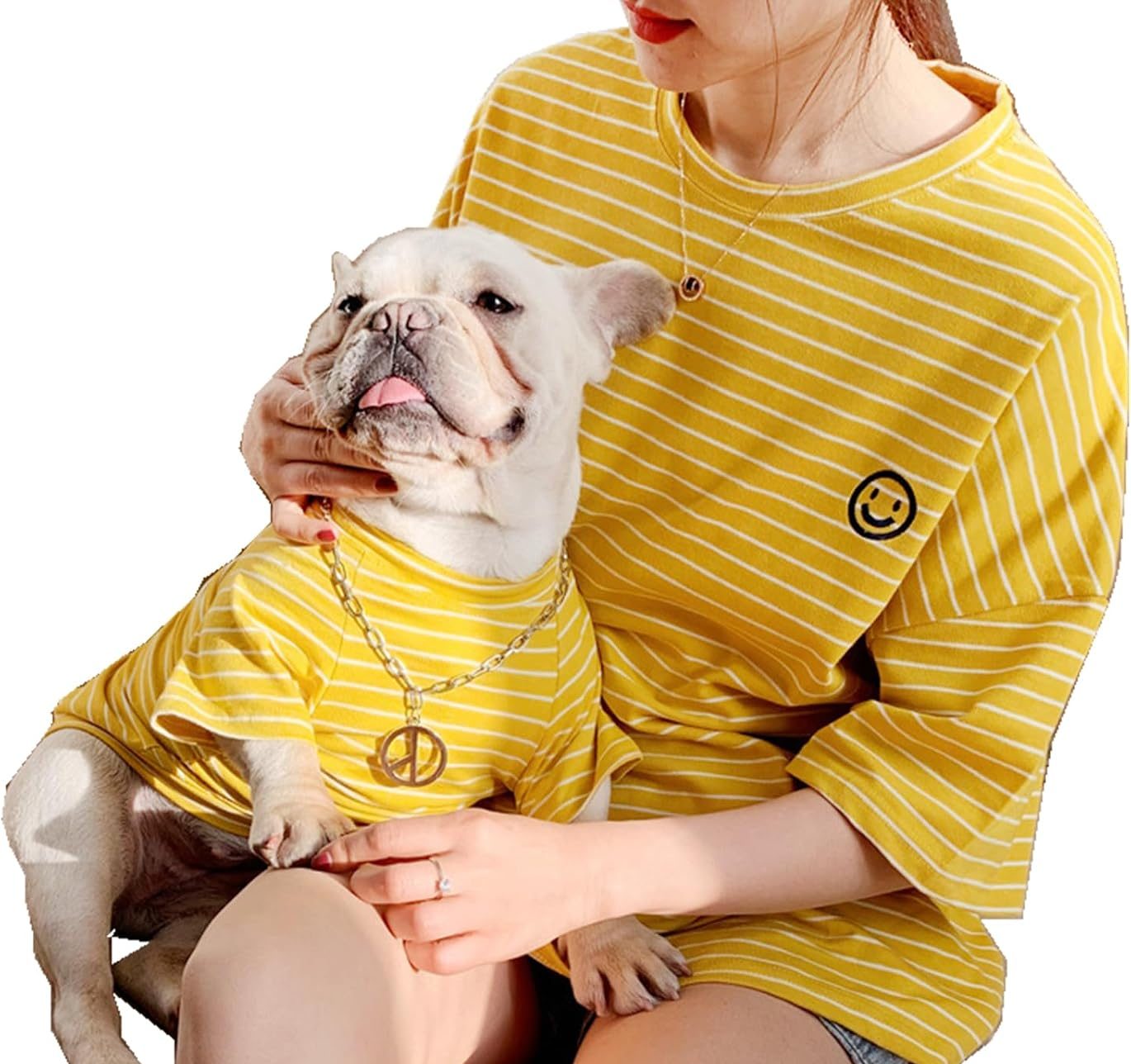 matching yellow striped dog and owner shirts