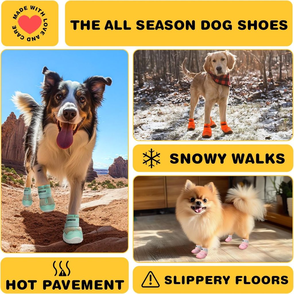 dogs wearing boots