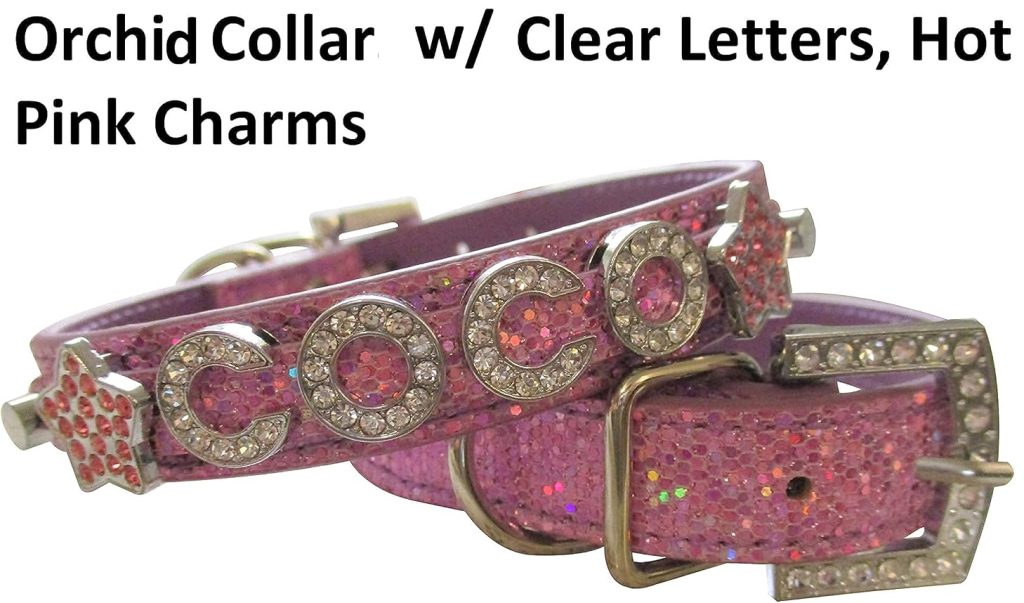 rhinestone dog collar