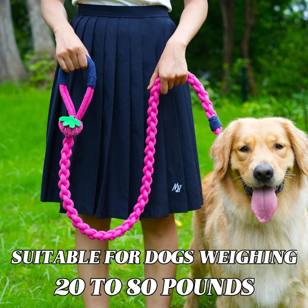 woman and dog wearing pink leash