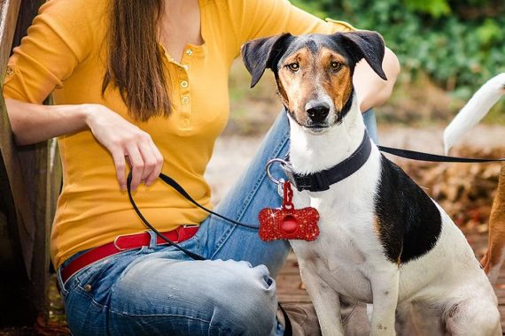 Glittering Rhinestones Adorn This Simple Dog Walking Staple. Choose From 6 Colors