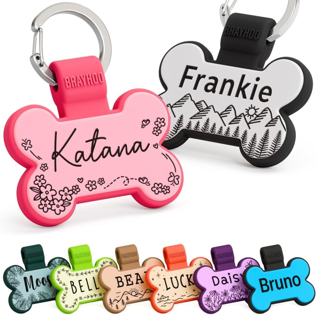 colorful dog tags
