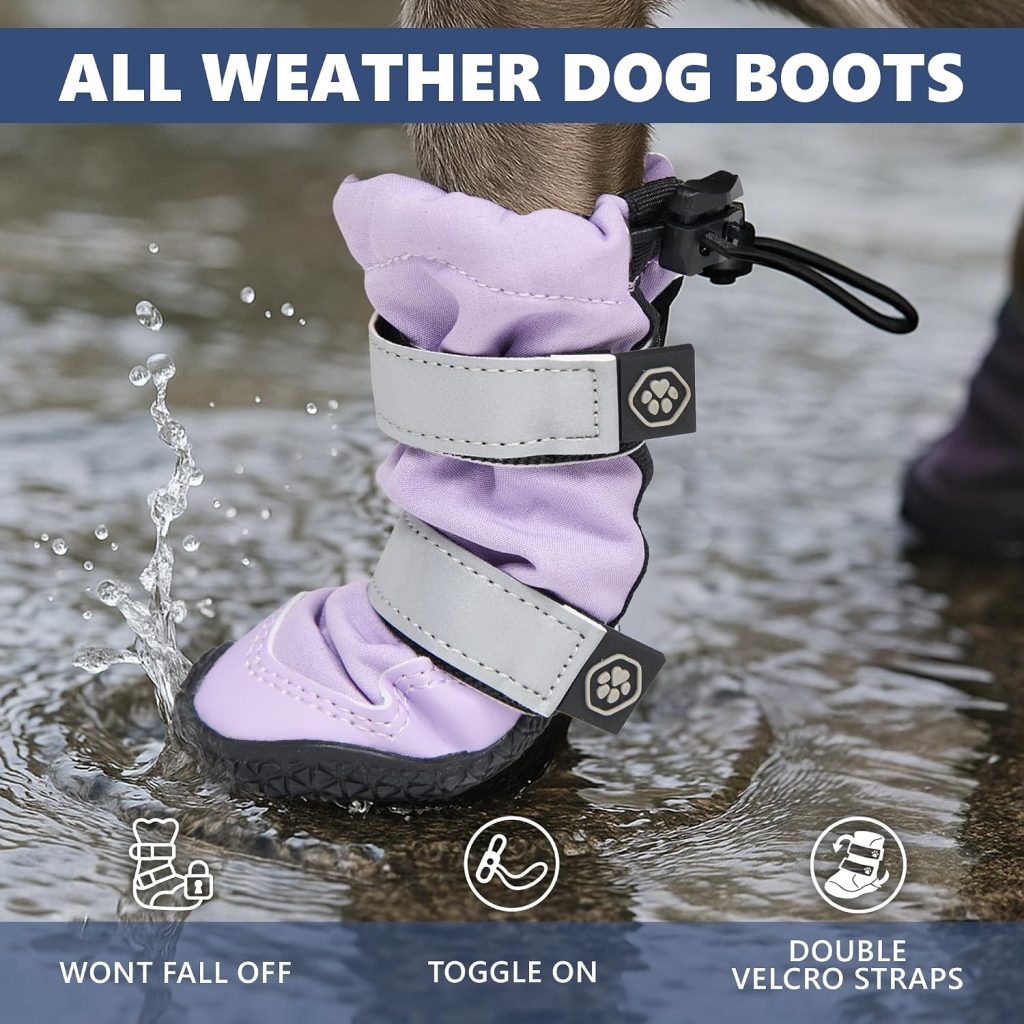 white dog boot