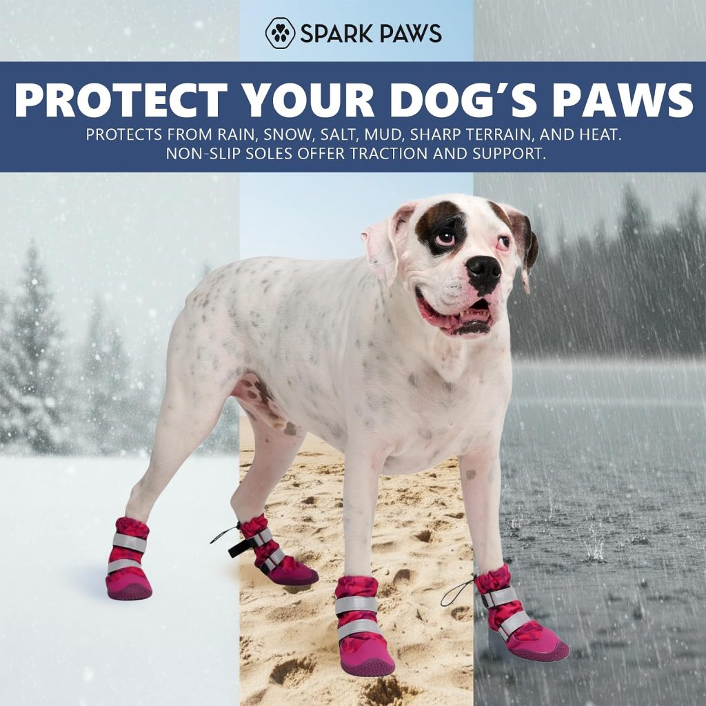 pink dog boots on dog