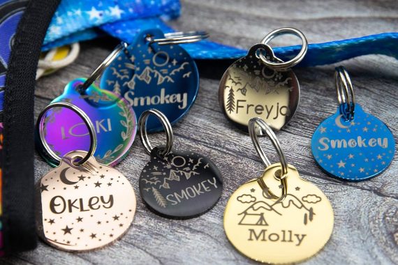 A Variety of Colorful Stainless Steel Dog ID Tags