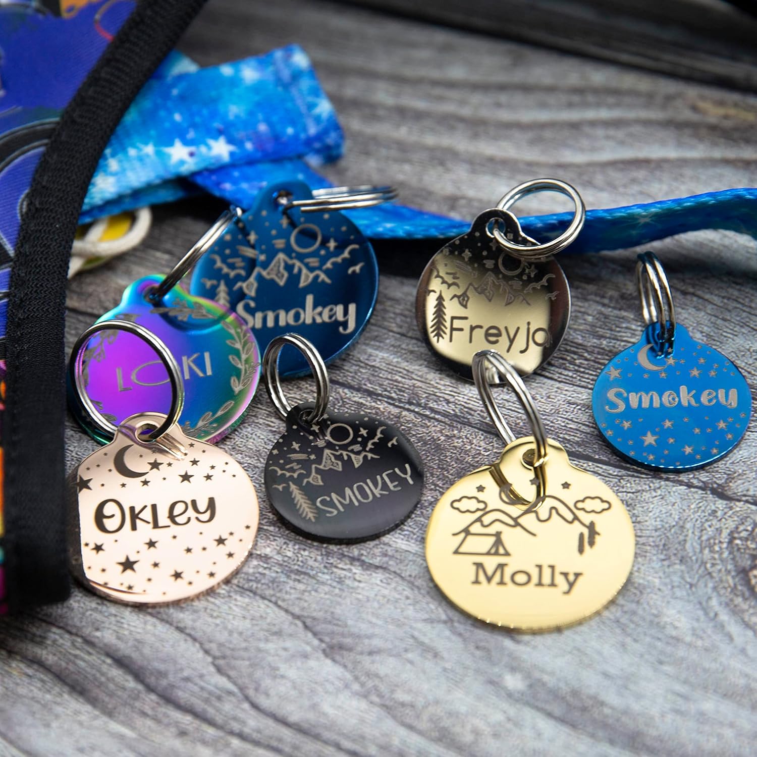colorful dog id tags