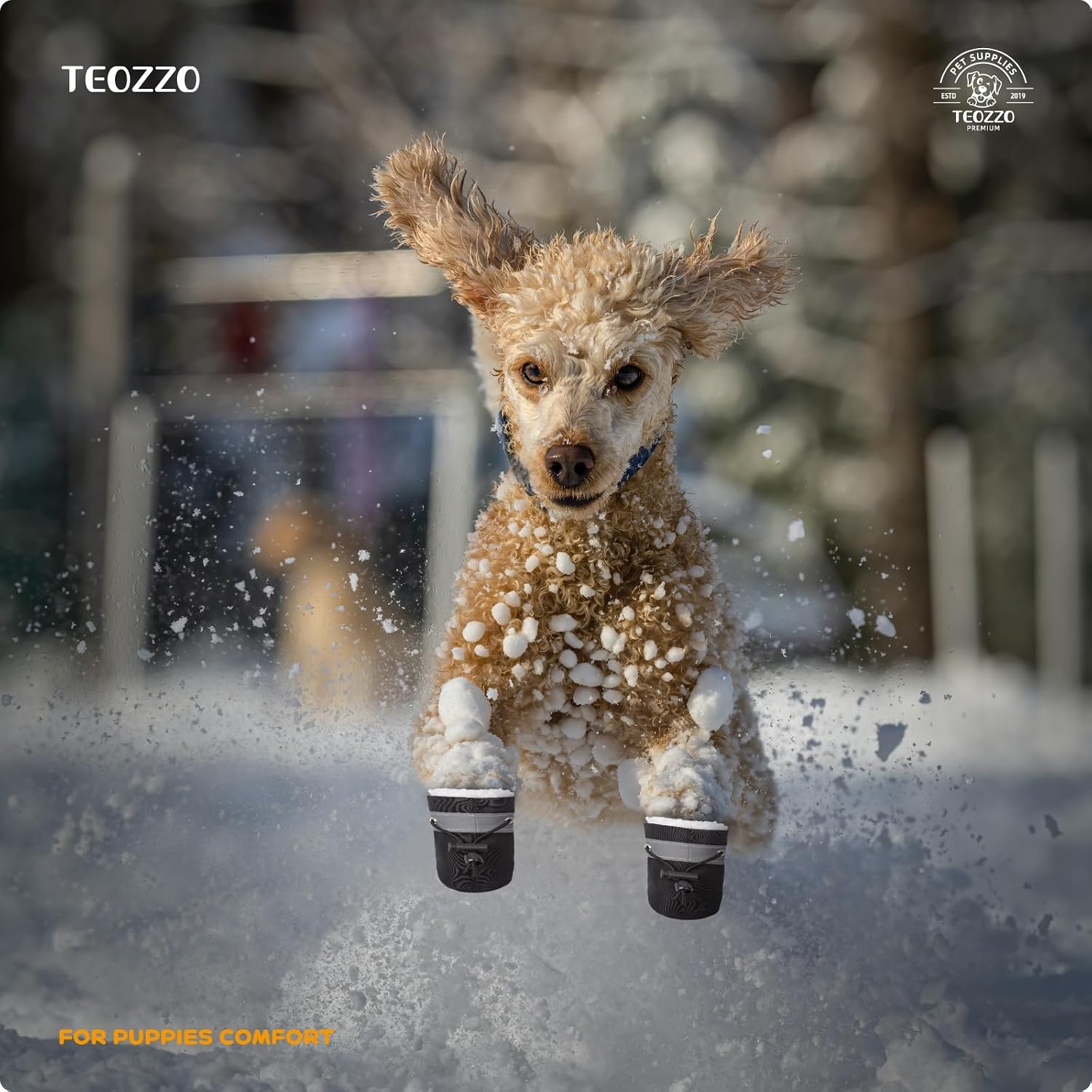 dog wearing boots jumping in the snow