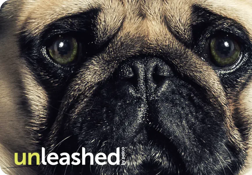 unleashed by petco gift card
