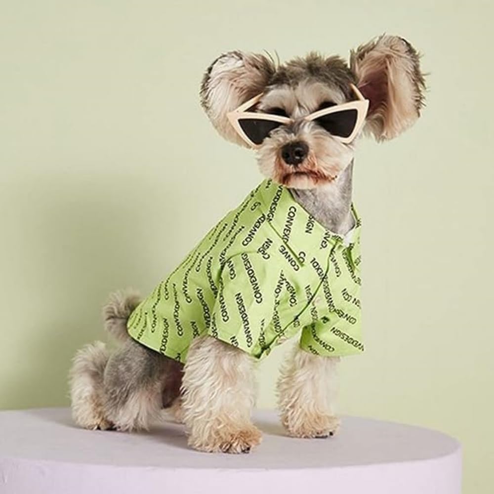 dog wearing white sunglasses