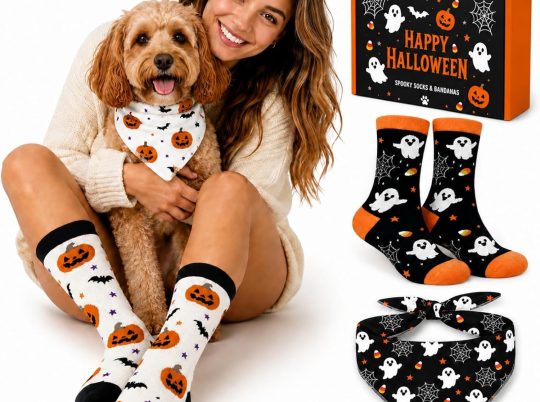 Dog and Owner Share the Vibe With Matching Halloween Costume Accessories