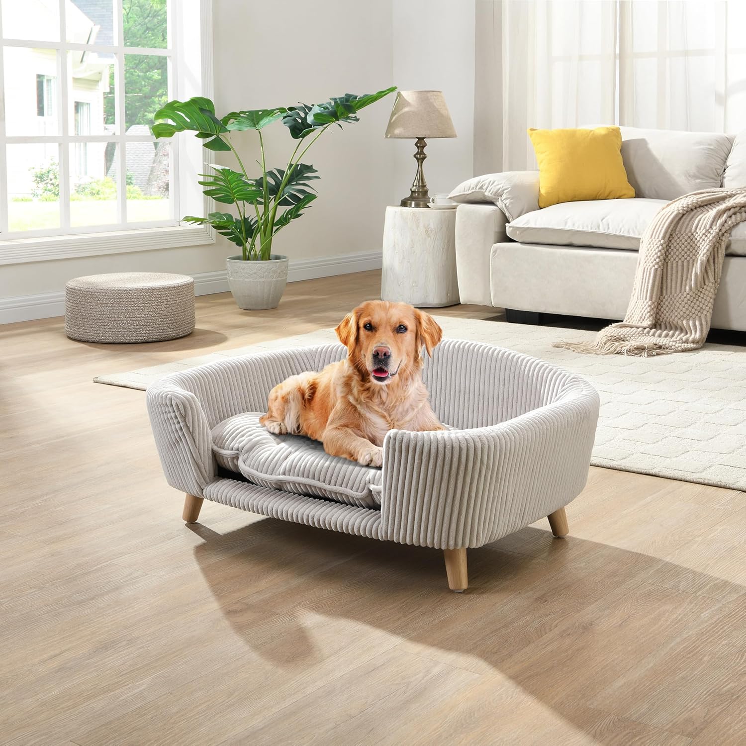 dog in dog bed
